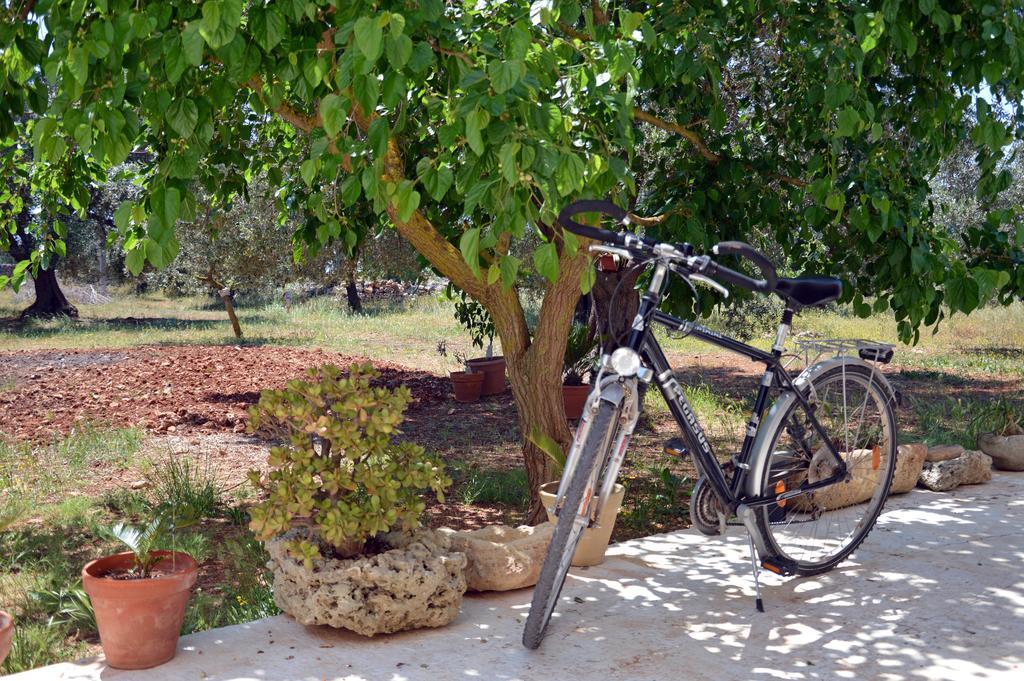 Agriturismo Tenuta Del Morige กาลาโตเน ภายนอก รูปภาพ