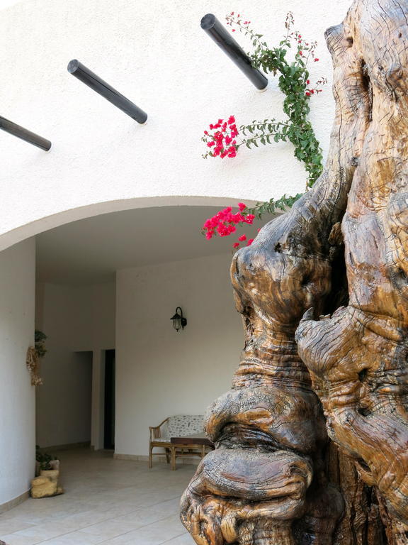 Agriturismo Tenuta Del Morige กาลาโตเน ห้อง รูปภาพ